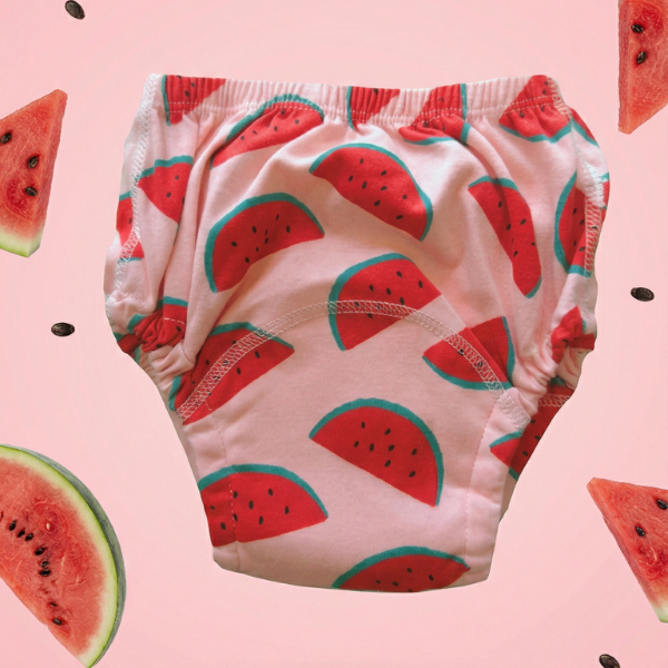 Potty Training Undies