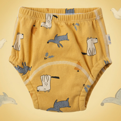 Potty Training Undies